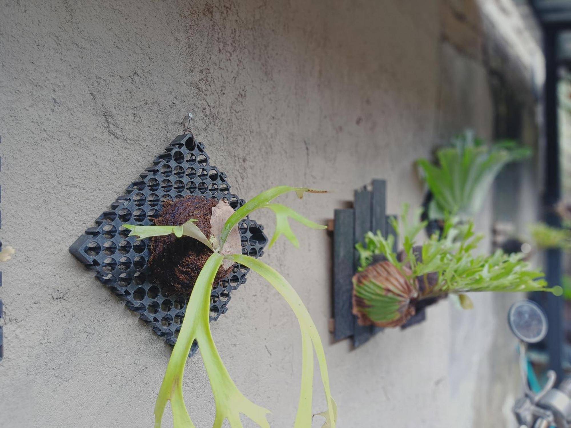Sudana Homestay 우붓 외부 사진