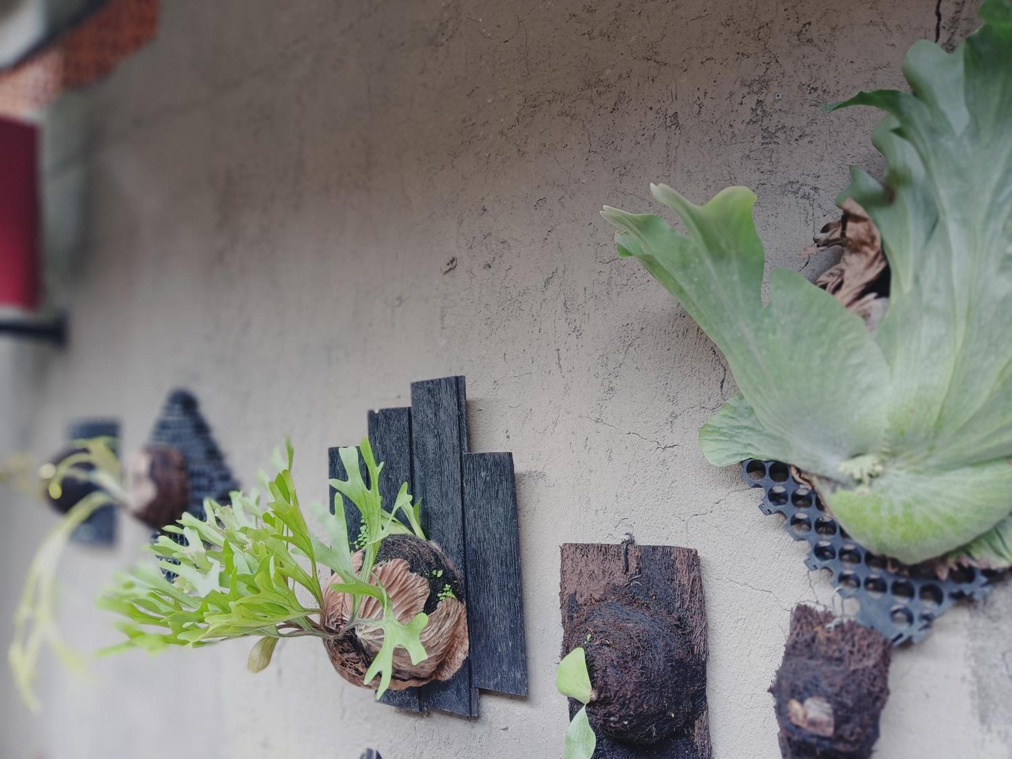 Sudana Homestay 우붓 외부 사진