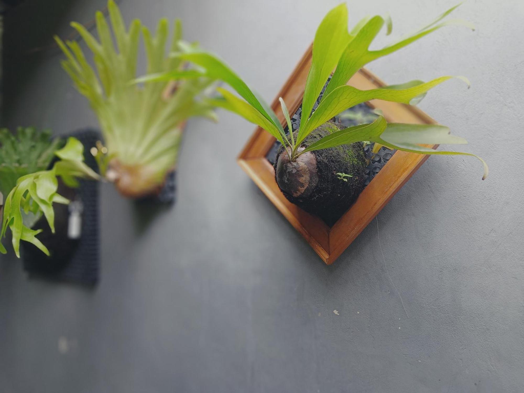 Sudana Homestay 우붓 외부 사진